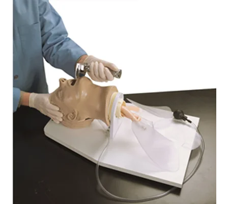 Airway Larry Trainer Head w/Mount Stand