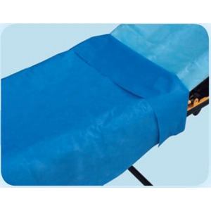 Stretcher Sheet Everyday Flat 40 X 90 Inch Blue Tissue Poly Disposable