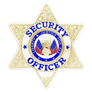 Security Officer 6 Point Star Badge Gold