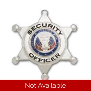 Security Officer 6-Point Star Badge Liberty & Justice Seal Silver