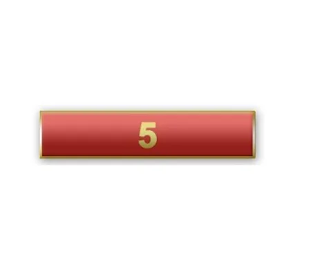 Citation Merit Bar Award Years of Service 5 Red