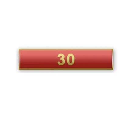 Citation Merit Bar Award Years of Service 30 Red