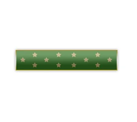 Citation Merit Bar Medal of Honor Award Green Stars