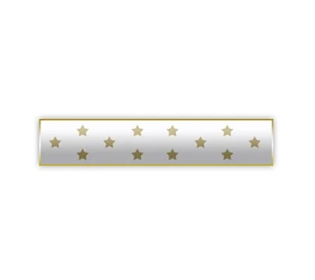 Citation Merit Bar Medal of Honor Award White Stars
