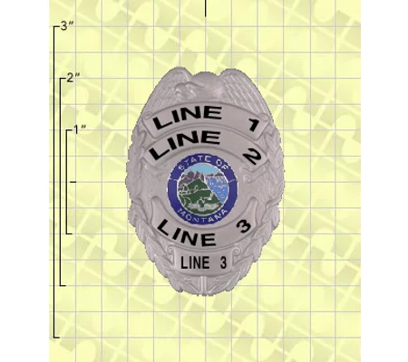 Quick Ship Custom Fire Rescue Police Security Badge 7