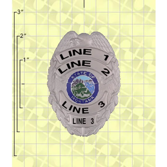 Quick Ship Custom Fire Rescue Police Security Badge 7