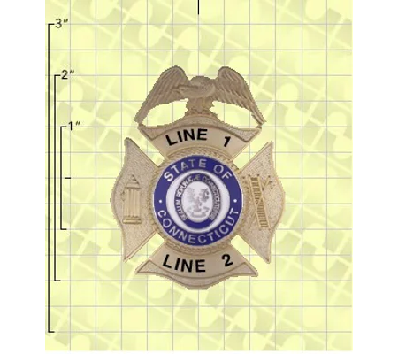 Quick Ship Custom Fire Rescue Police Security Badge 10