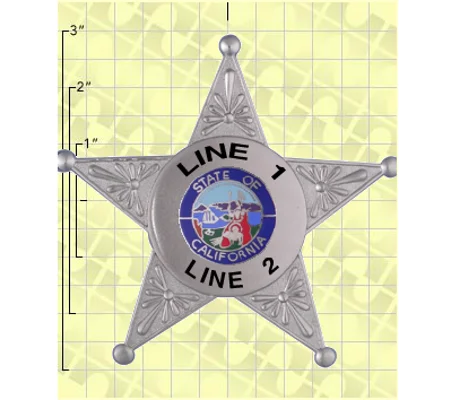 Quick Ship Custom Fire Rescue Police Security Badge 16