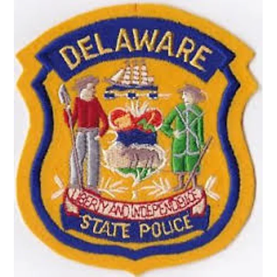DE Delaware State Police Hat - Child Patch