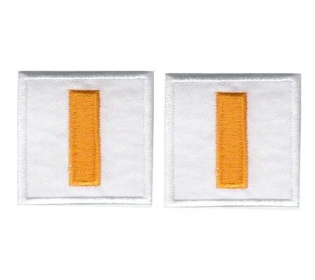 Lieutenant Bar Embroidered Gold on White Pair