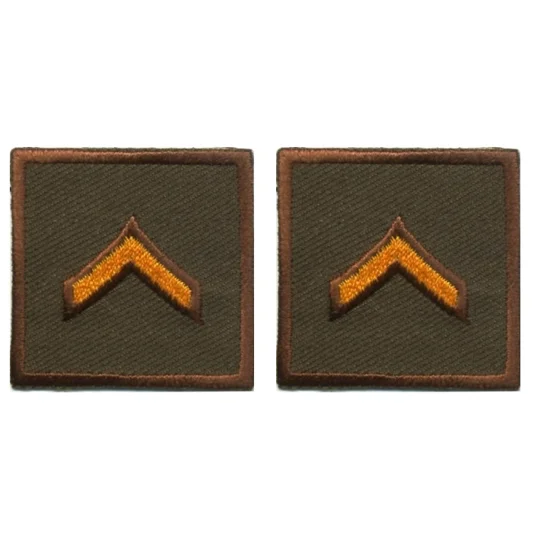 Private Embroidered Gold on Brown Pair