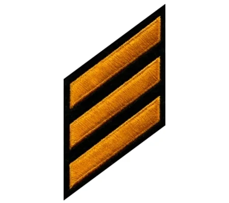 Service Stripes Years of Service Felt Sleeve Gold on Black