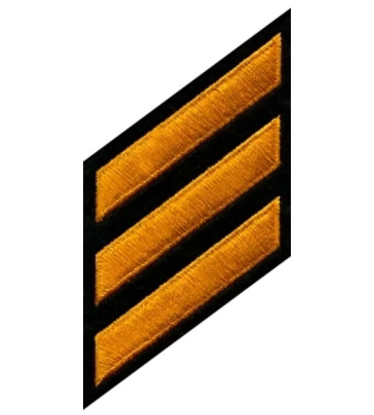 Service Stripes Years of Service Felt Sleeve Gold on Black