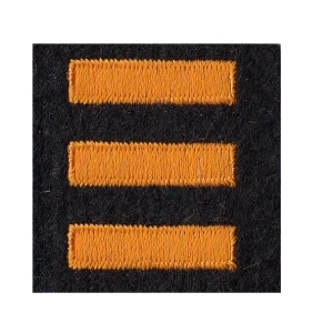 Service Bars Years of Service Felt Sleeve Gold on Black