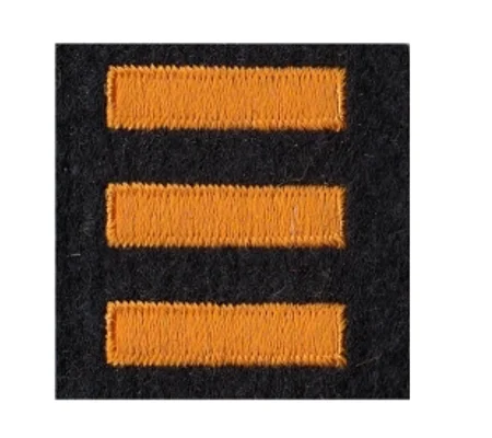 Service Bars Years of Service Felt Sleeve Gold on Black