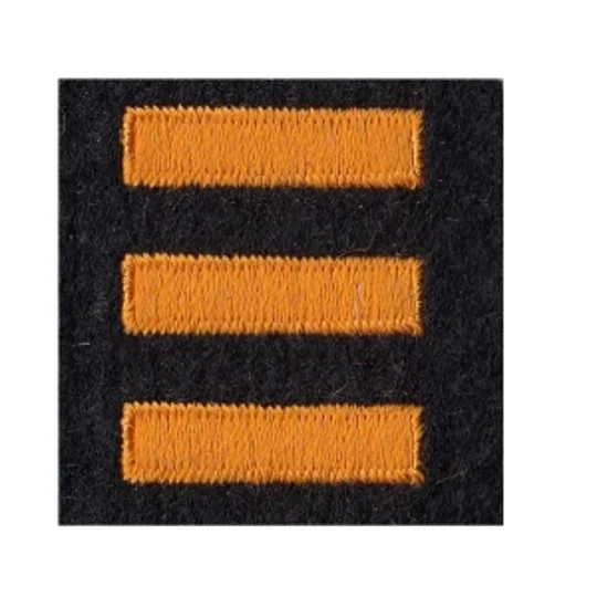 Service Bars Years of Service Felt Sleeve Gold on Black