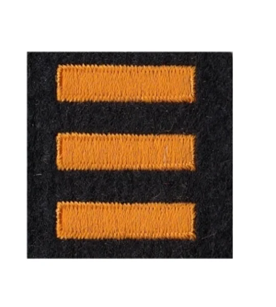 Service Bars Years of Service Felt Sleeve Gold on Black