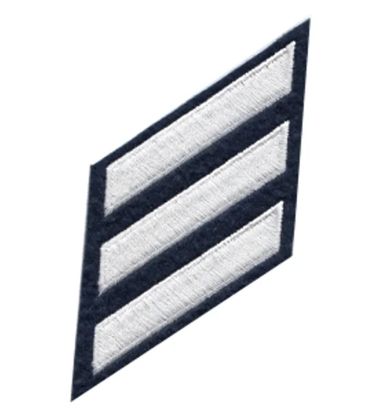Service Stripes Years of Service Felt Sleeve White on Black