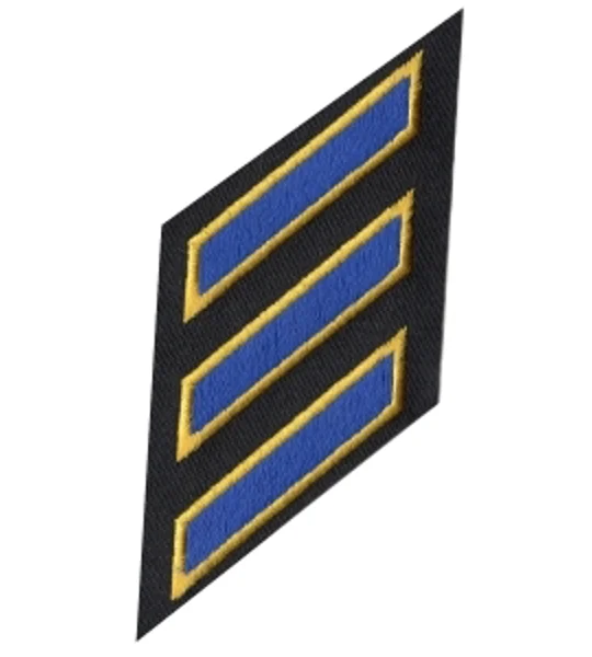 Service Stripes Years of Service Felt Sleeve Royal - Gold on Black