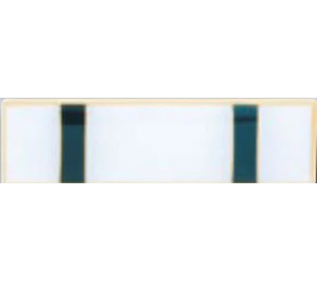 Commendation Bar Merit Marksman Option 3