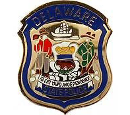 Tie Tac Pin Deleware State Police