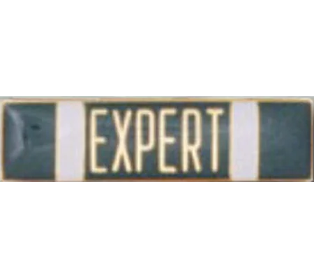 Commendation Bar Merit Award Expert