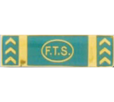 Commendation Bar Merit Award FTS