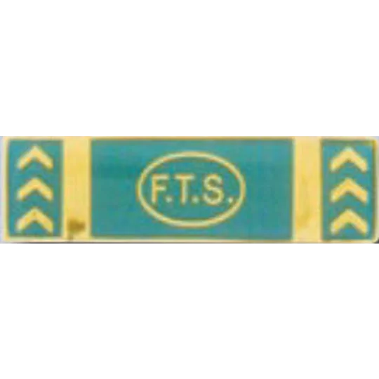 Commendation Bar Merit Award FTS