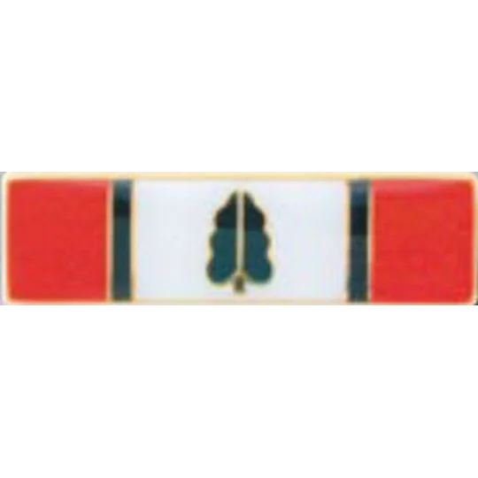 Commendation Bar Merit Award Meritorious Conduct 2