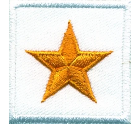 General Chief 1 Star Patch Pair Gold on White