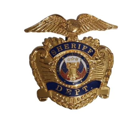 Sheriff Dept Department Hat Badge Screw Back Gold