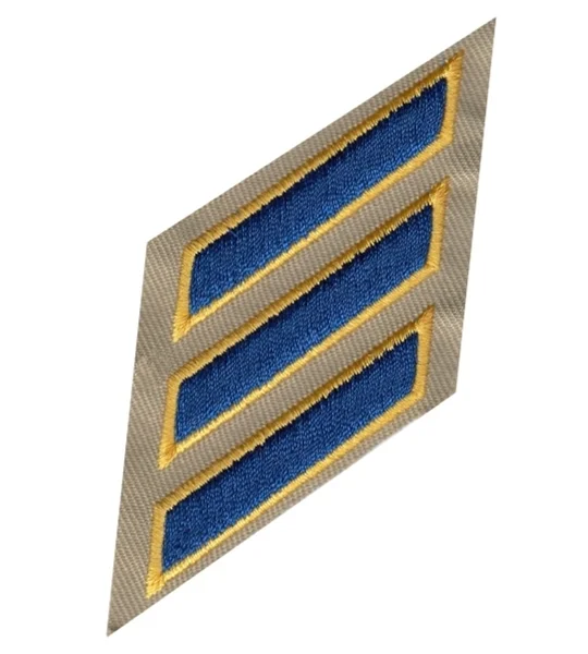 Hash Mark Years of Service Felt Sleeve Royal Gold on Tan CHP