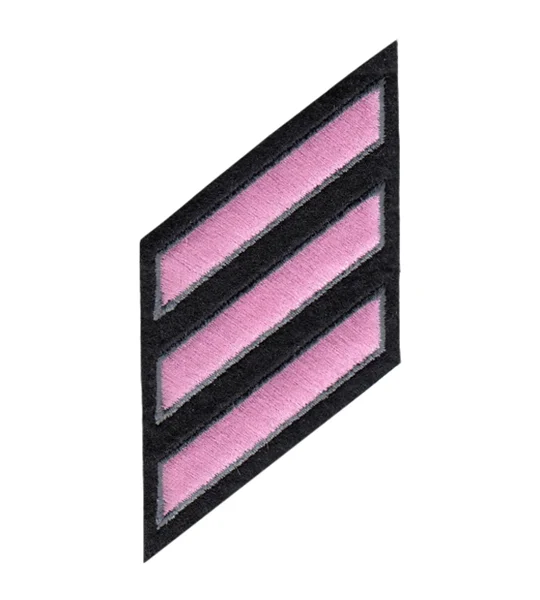 Hash Mark Years of Service Felt Sleeve Pink & Grey on Black