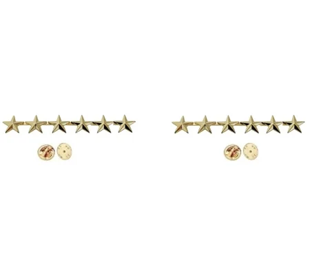 6 Stars 7/16" Collar Pins Military Officer Insignia