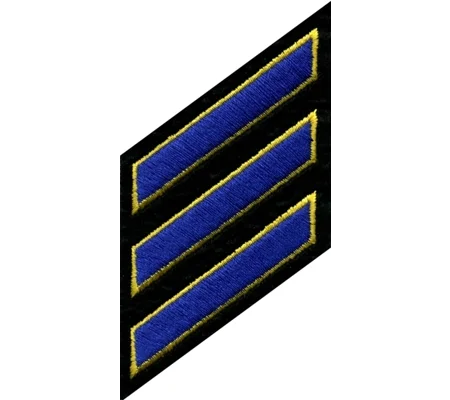 Hash Mark Years of Service Felt Sleeve Royal Gold on Black