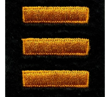 Service Bars Years of Service Felt Sleeve Summer Gold on Black