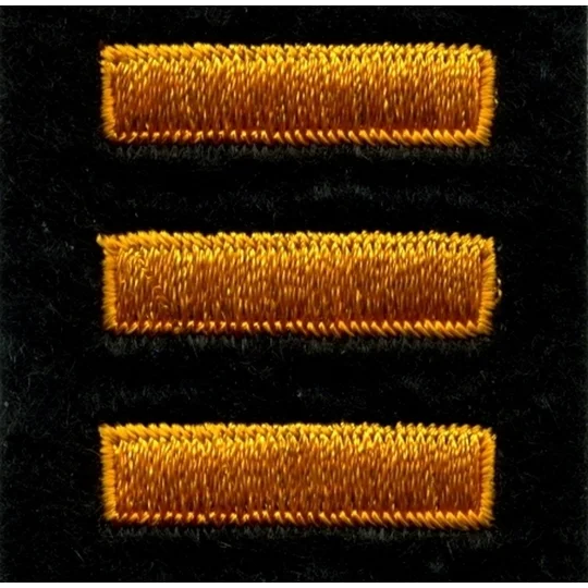 Service Bars Years of Service Felt Sleeve Summer Gold on Black