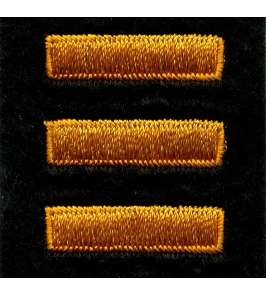 Service Bars Years of Service Felt Sleeve Summer Gold on Black