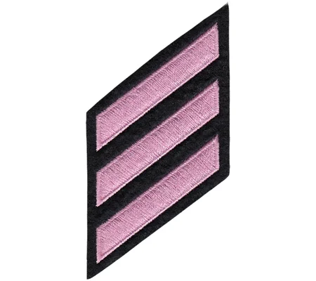 Hash Mark Years of Service Felt Sleeve Pink on Black
