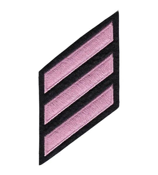 Hash Mark Years of Service Felt Sleeve Pink on Black