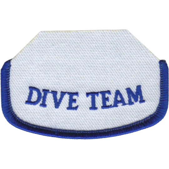 GA Georgia EMS Rocker 1/2 Outline Dive Team