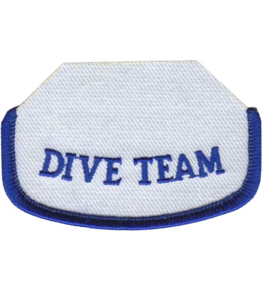 GA Georgia EMS Rocker 1/2 Outline Dive Team