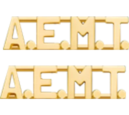 Collar Pins Insignia Letters 5/16'' A.E.M.T. Advanced EMT Gold