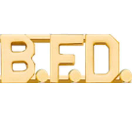 Collar Pins Insignia Letters 1/2'' B.F.D.