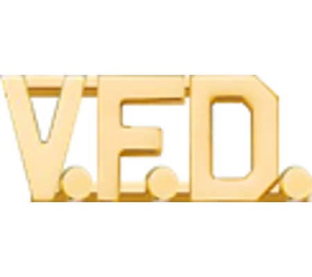 Collar Pins Insignia Letters 1/2'' V.F.D.