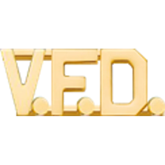 Collar Pins Insignia Letters 1/2'' V.F.D.