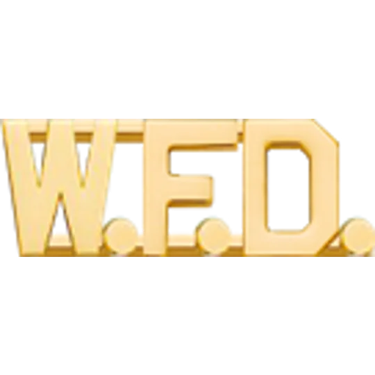 Collar Pins Insignia Letters 1/2'' W.F.D.