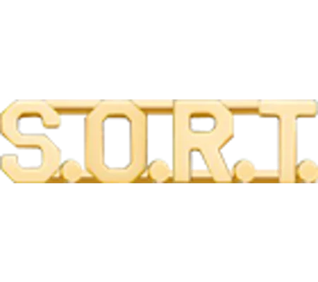 Collar Pins Insignia SORT Letters Gold