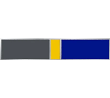 Commendation Merit Bar Custom 3 Color Thin Middle