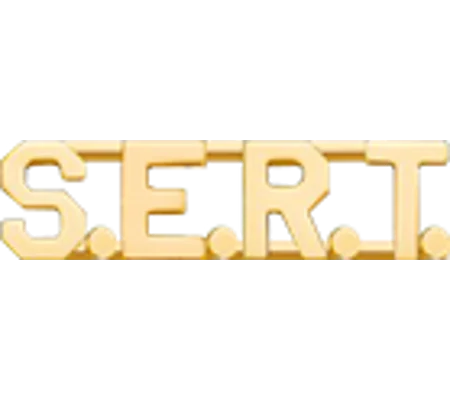 Collar Pins Insignia SERT Letters Gold